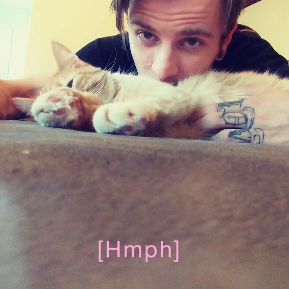 Meet your Posher, David - Picture 1 of 1